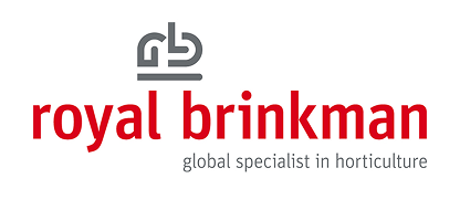 Royal Brinkman